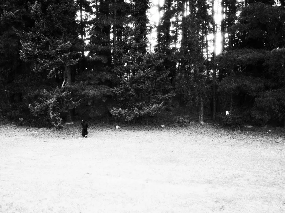 Pushed B&W - shot with this recipe by Paul (1 of 2)